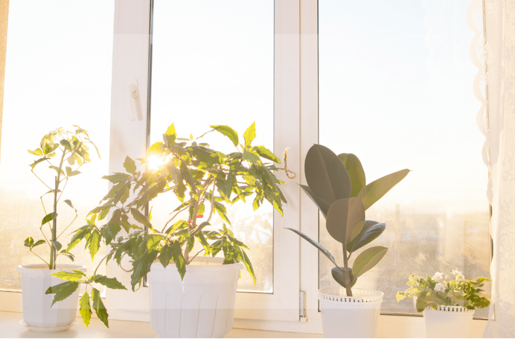 The Power of&nbsp;Intuition: